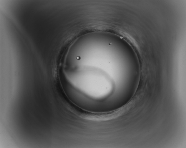 X0000100490017200806131259