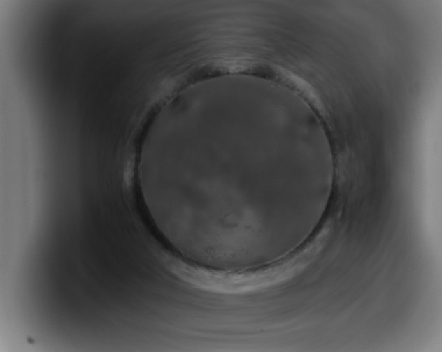 X0000100490018200806131259