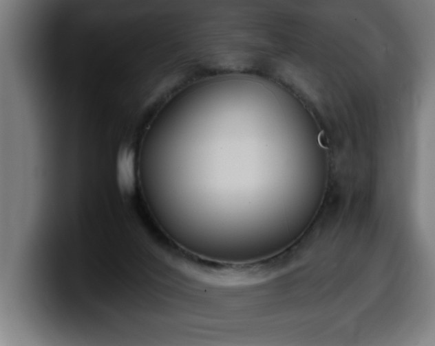 X0000100490020200806131259