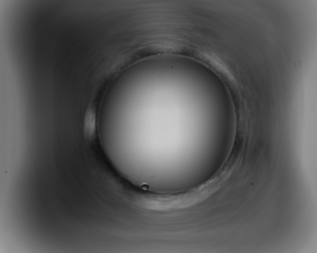 X0000100490021200806131259