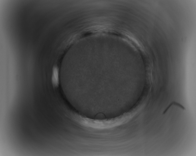 X0000100490022200806131259