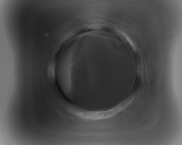 X0000100490023200806131259
