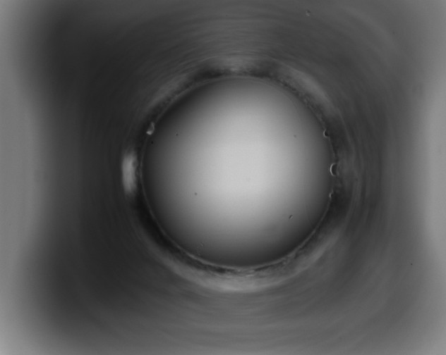X0000100490024200806131259