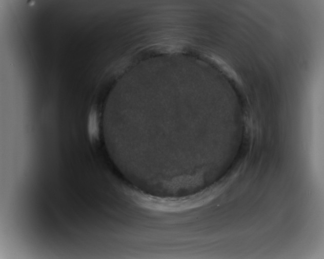 X0000100490026200806131259