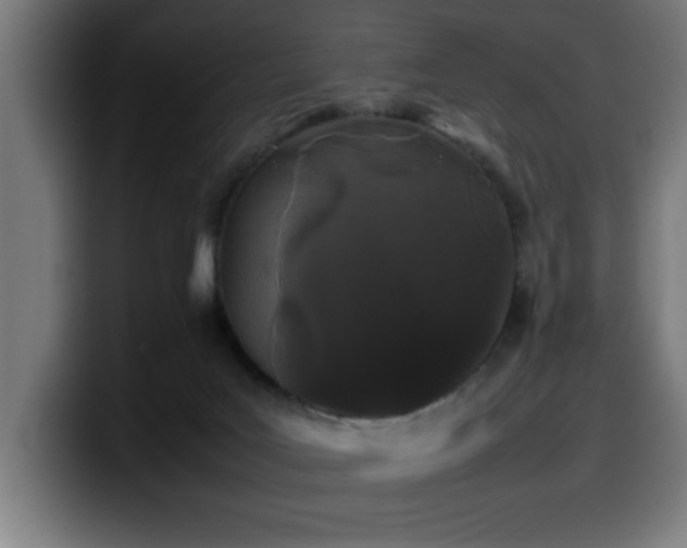 X0000100490027200806131259