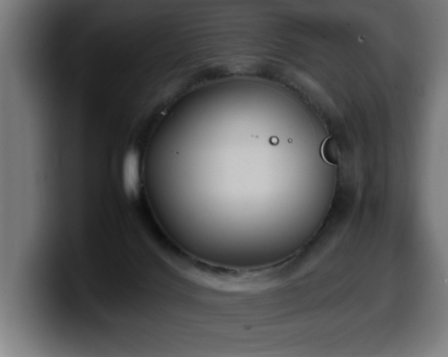 X0000100490028200806131259