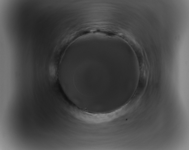 X0000100490031200806131259