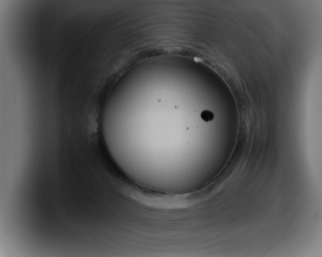 X0000100490032200806131259