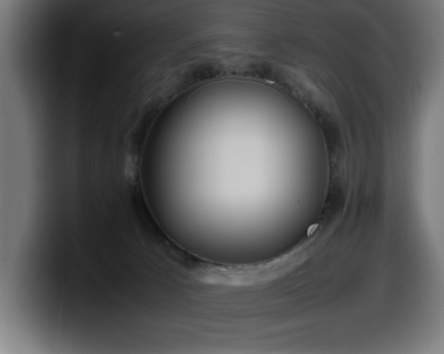 X0000100490033200806131259