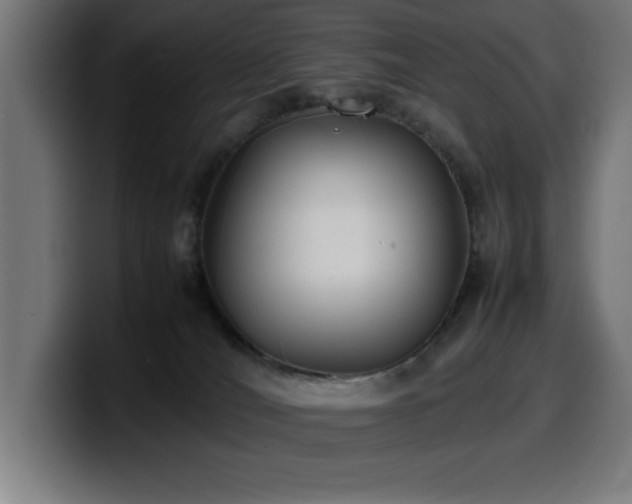 X0000100490036200806131259