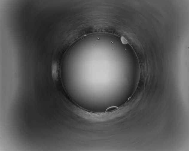 X0000100490038200806131259