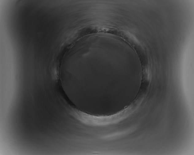 X0000100490039200806131259