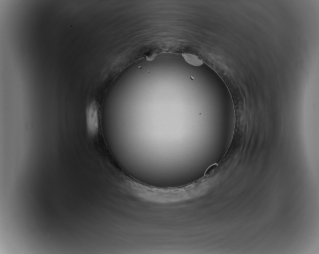 X0000100490042200806131259