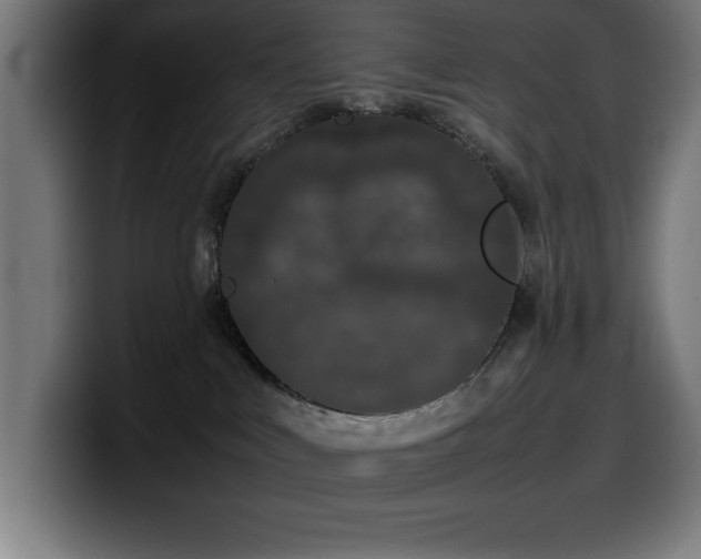 X0000100490043200806131259