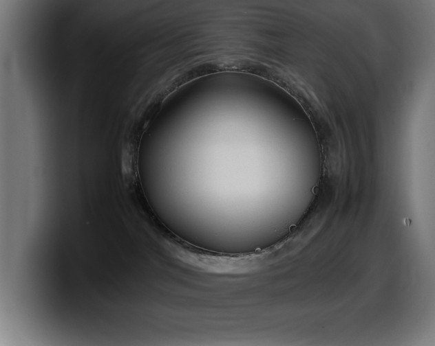 X0000100490044200806131259