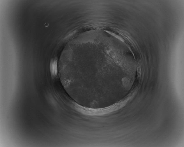 X0000100490046200806131259