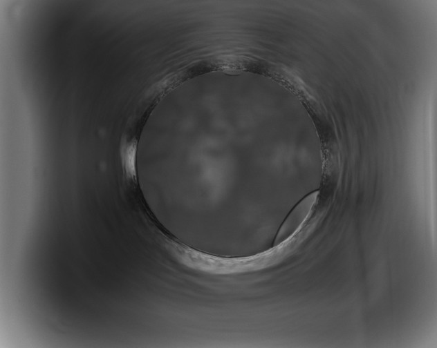 X0000100490047200806131259
