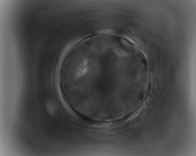 X0000100490049200806131258