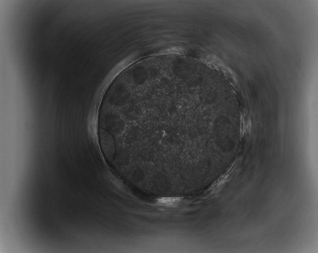 X0000100490051200806131258