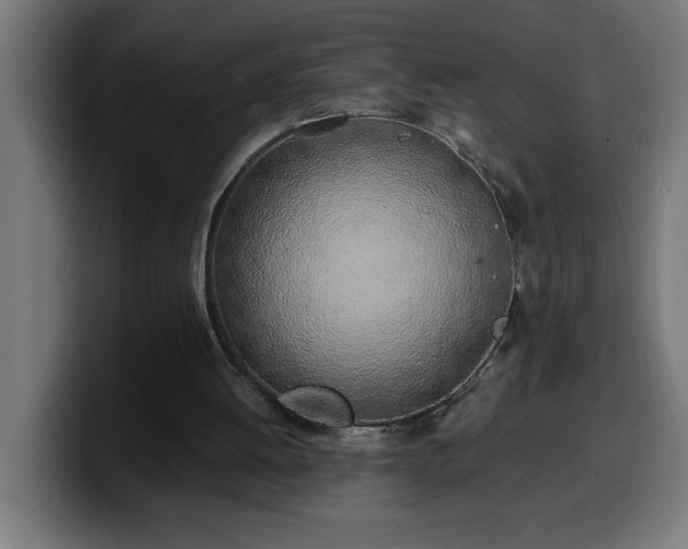 X0000100490052200806131258