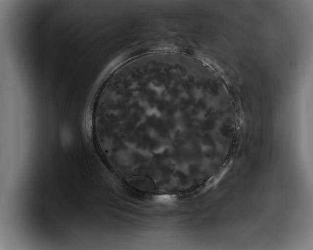 X0000100490053200806131258