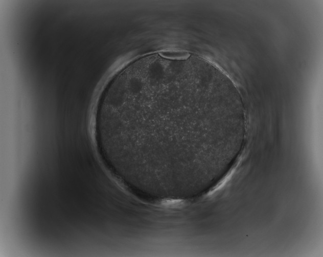 X0000100490055200806131258