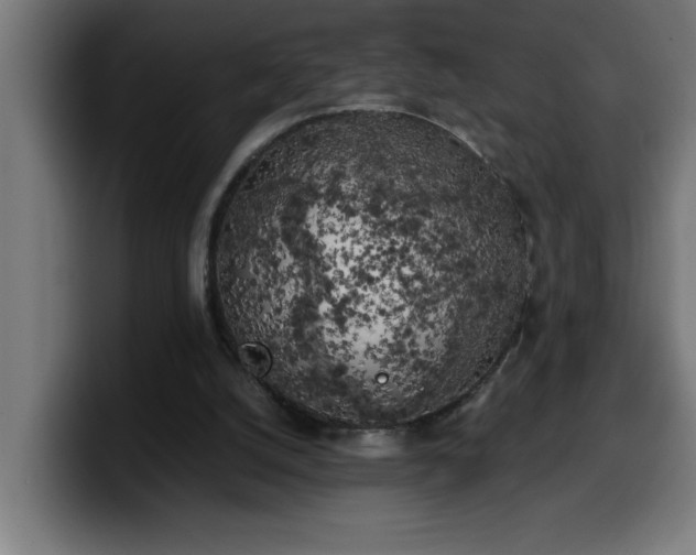 X0000100490056200806131258