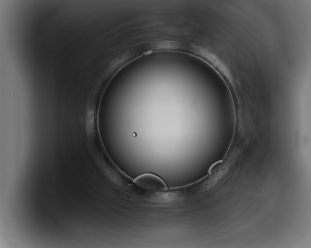 X0000100490057200806131258