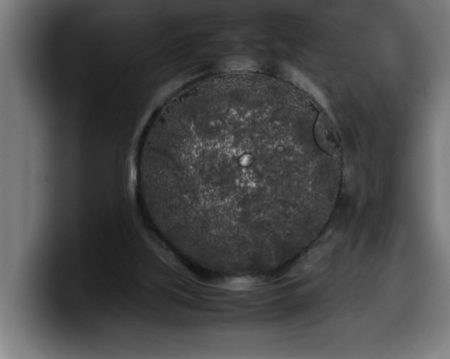 X0000100490059200806131258