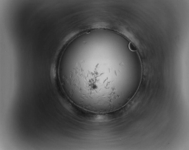 X0000100490060200806131258