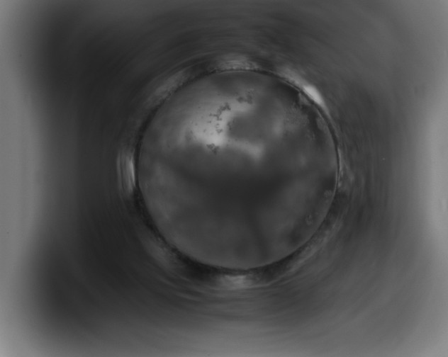 X0000100490061200806131258