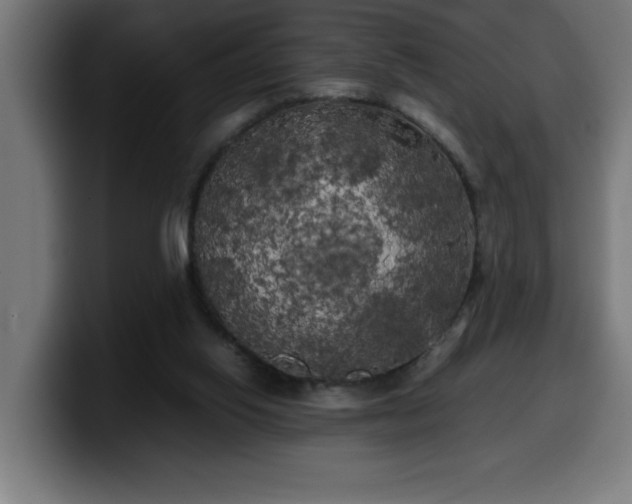 X0000100490062200806131258