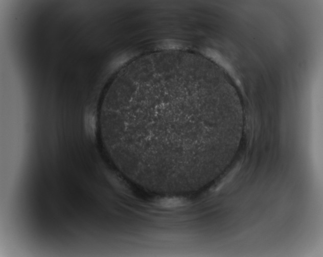 X0000100490063200806131258