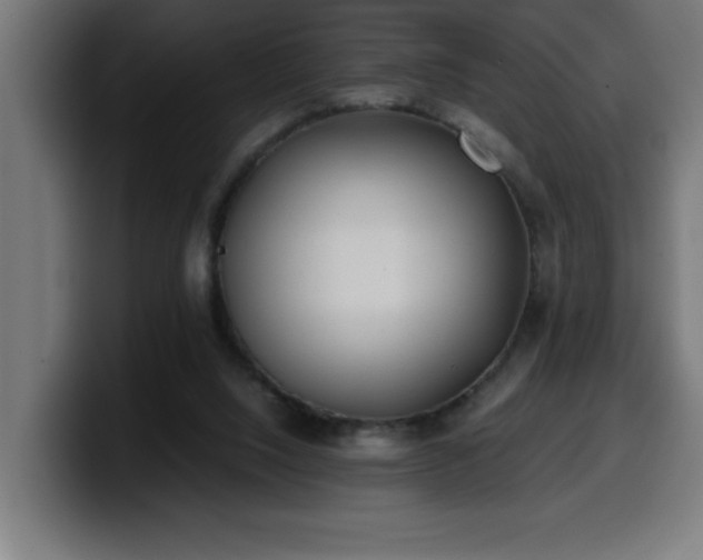 X0000100490064200806131258