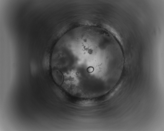 X0000100490065200806131258