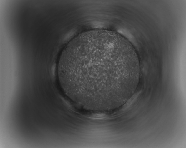X0000100490066200806131258