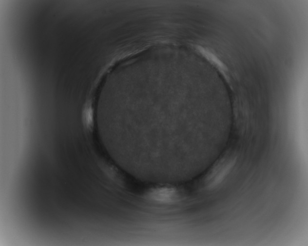 X0000100490067200806131258