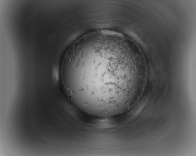 X0000100490068200806131258