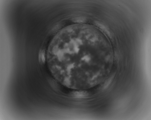 X0000100490069200806131258