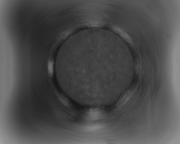X0000100490070200806131258
