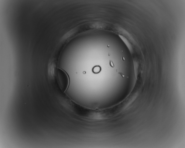 X0000100490071200806131258