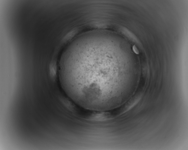 X0000100490072200806131258