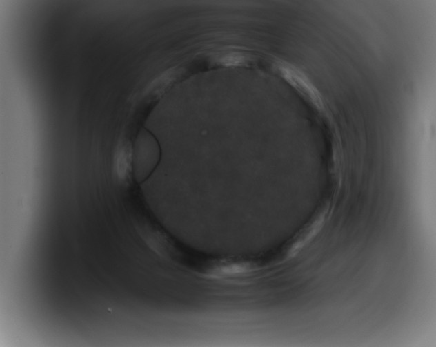 X0000100490073200806131258