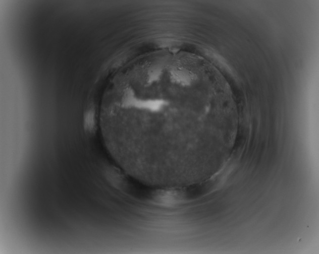 X0000100490074200806131258