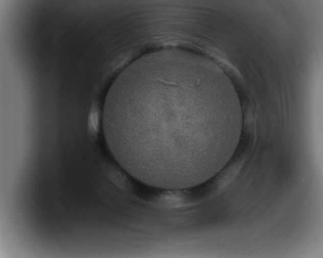 X0000100490076200806131258
