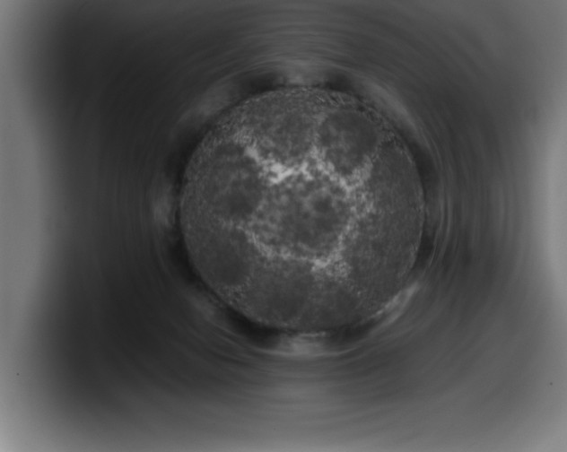 X0000100490078200806131258
