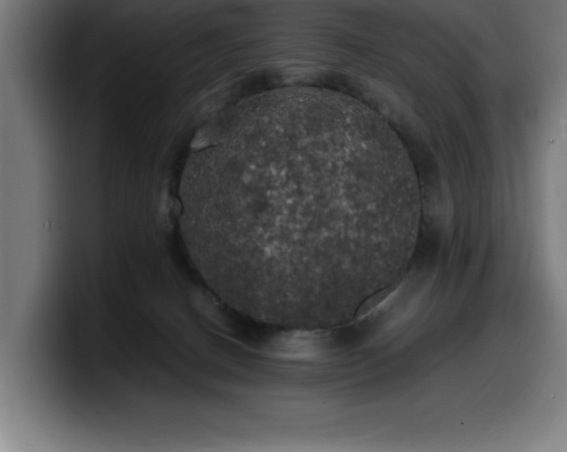 X0000100490082200806131258