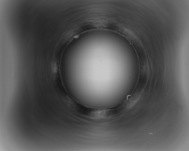 X0000100490084200806131258