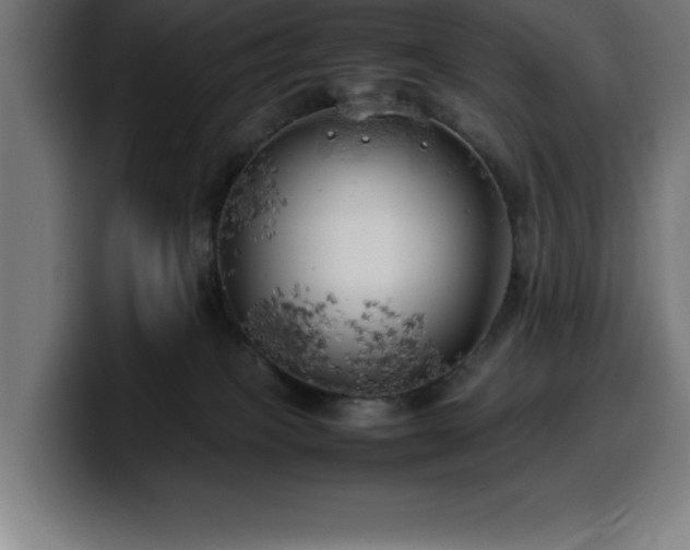 X0000100490085200806131258
