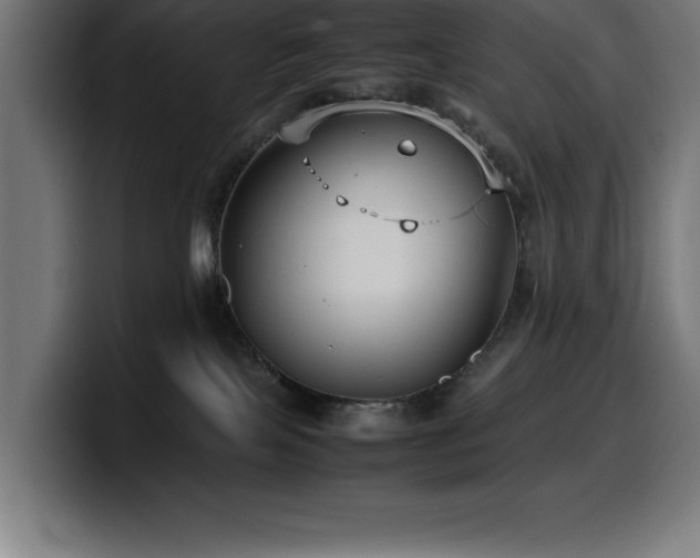 X0000100490089200806131258